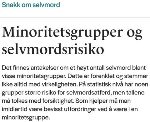 Bilde av nettside: Snakk om selvmord - Minoritetsgrupper og selvmordsrisiko